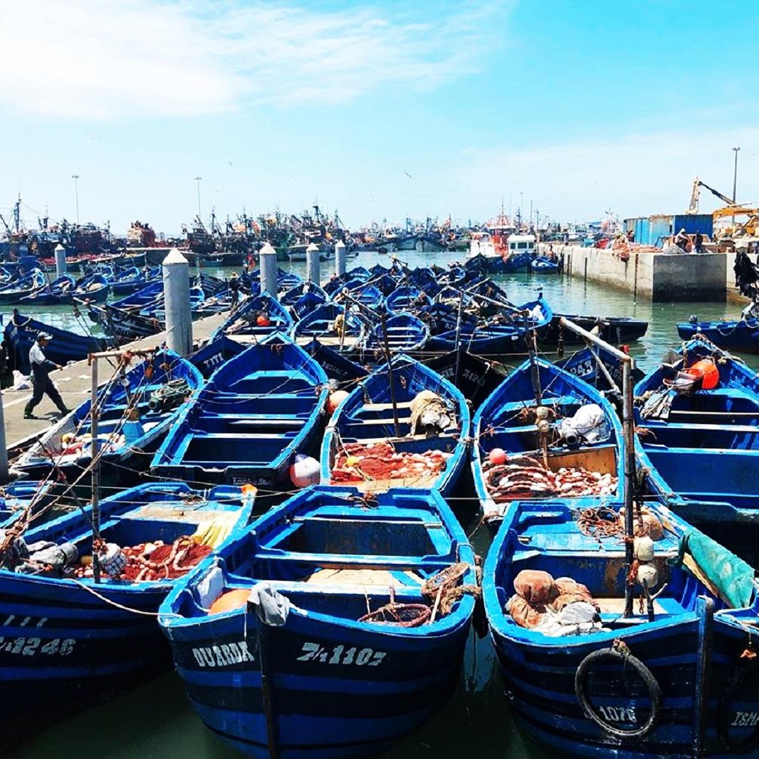 Marrakech : Excursion à Essaouira avec la coopérative d'huile d'argan - trekking