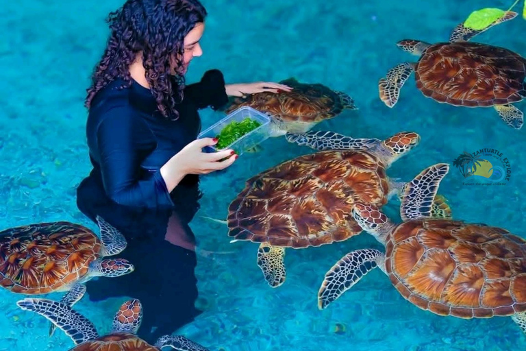 Zanzibar: Swim with Sea Turtles at Salaam Cave with Transfer Hotel Transfer Anywhere in Zanzibar