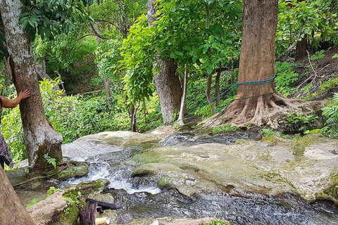 Enjoy Sticky Waterfall & Chet Si Fountain National Park Chiangmai: Sticky Waterfall & Chet Si Fountain National Park