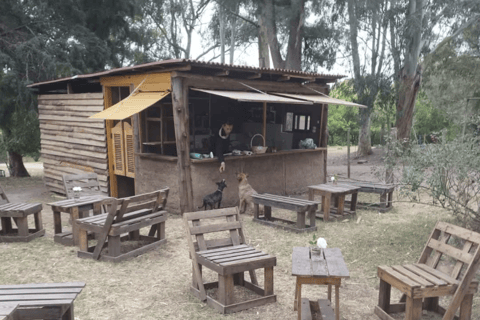 Lunch at Chacra de Montevideo: nature and flavors from around the world