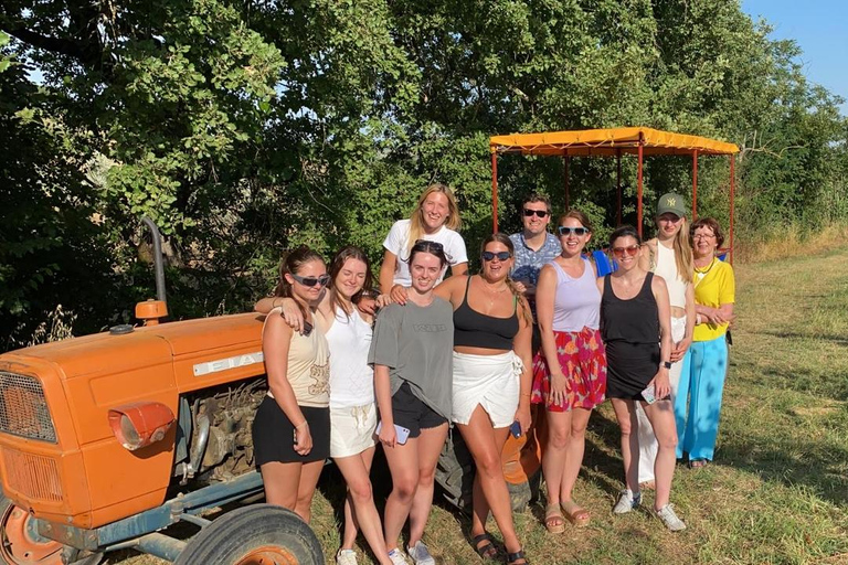 Florença: Visita ao campo com prova de vinhos e aula de massasFlorença: Passeio pelo campo com degustação de vinhos e aula de massas