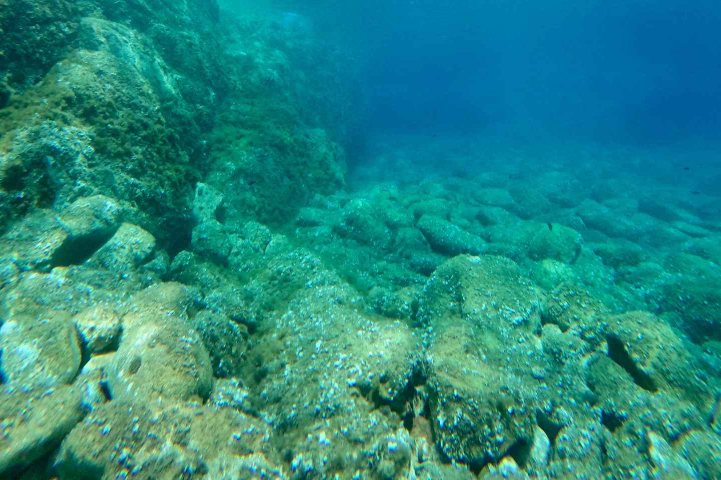 カルヴィ　ボートで行く海洋保護区スノーケリング体験