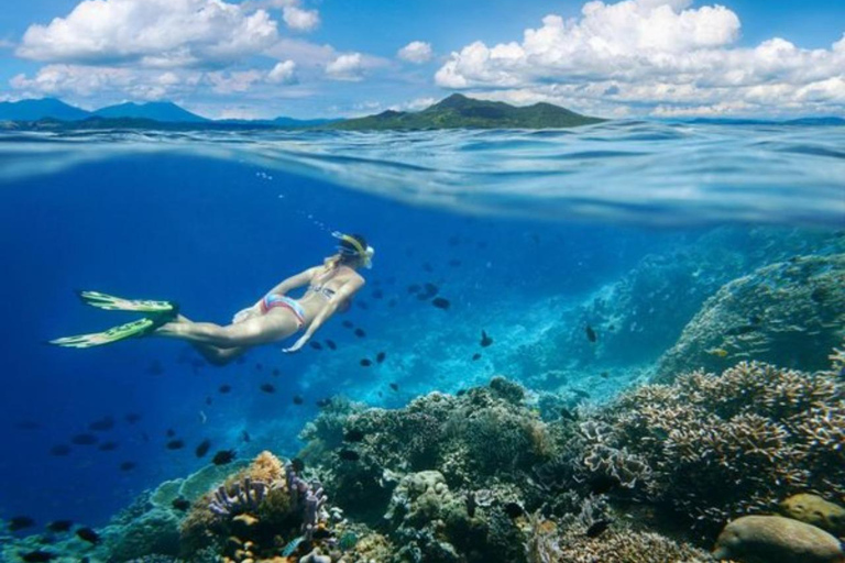 Gili Air: Snorkeling 3 Gili Islands with Shared/Private BoatShared Snorkeling 4 Hours (Meeting Point Gili Air)