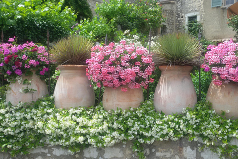 Viaggio in campagna in Provenza