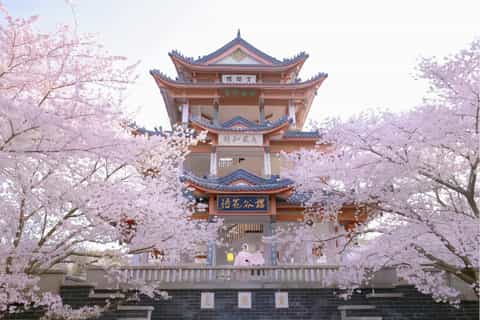 POWER OF DOGU 大英博物館2009年175P SC右上わずかにウチ 今を生きるために - 茅野市ホームページ
