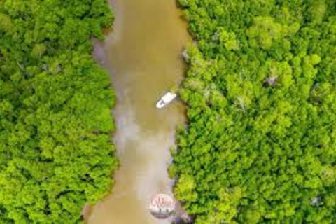 Diani: Passeio de um dia à Ilha Funzi com almoço e passeio de barcoDiani: passeio de um dia à ilha Funzi com almoço e passeio de barco