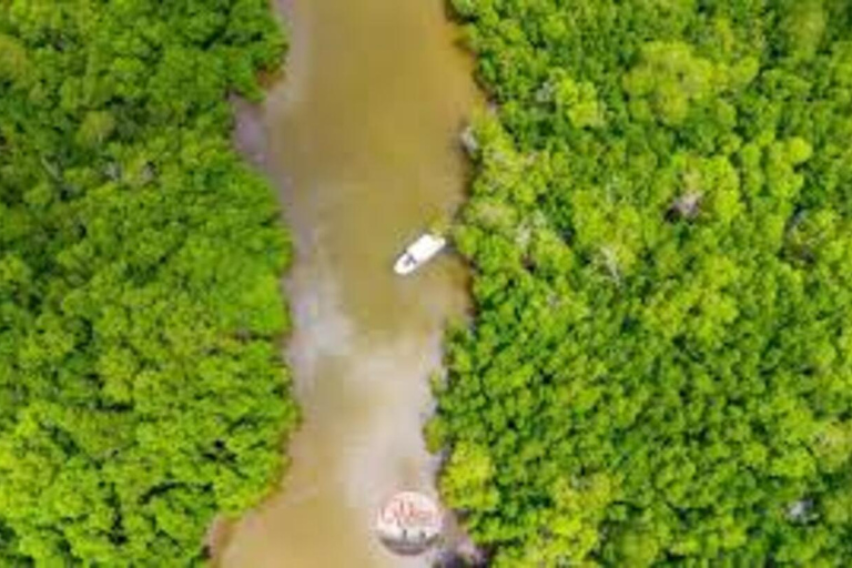 Diani: Passeio de um dia à Ilha Funzi com almoço e passeio de barcoDiani: passeio de um dia à ilha Funzi com almoço e passeio de barco