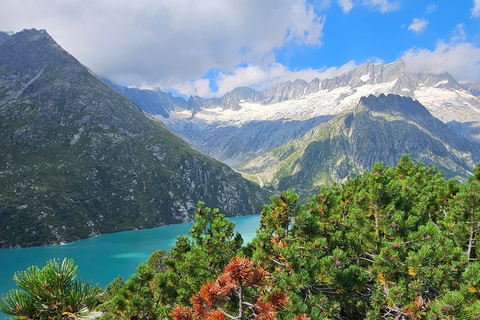 Full-Day Hiking Swiss Alps and Lake with Pick-up Shared Group Hike - From Lucerne