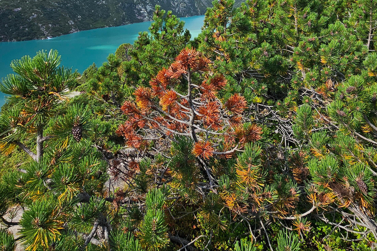 Full-Day Hiking Swiss Alps and Lake with Pick-up Shared Group Hike - From Lucerne