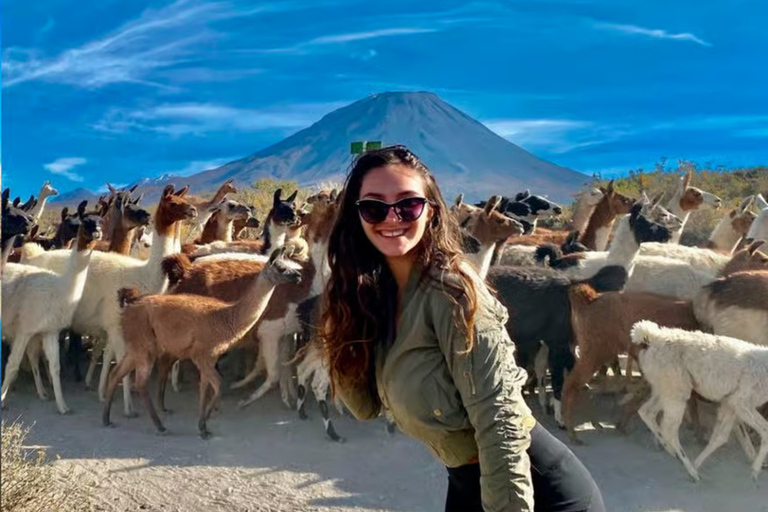 Arequipa: Salinas 2026 Tour – Wetlands, Flora, Fauna, and Volcanic Views