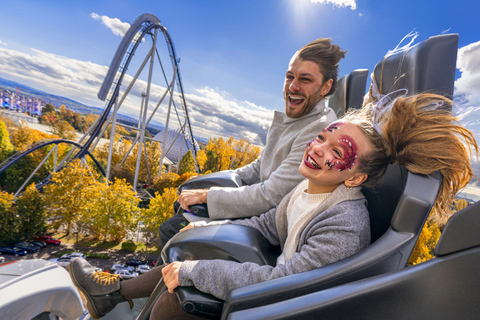 Basel: Europa-Park 1-day ticket with direct RailCoaster
