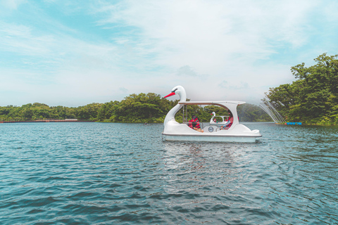 Jeju: Eco Land Theme Park Entry Ticket with Add-Ons Ecoland Theme Park Admission + Diffuser Making