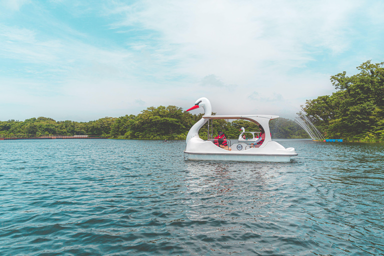 Jeju: Eco Land Theme Park Entry Ticket with Add-Ons Ecoland Theme Park Admission + Diffuser Making