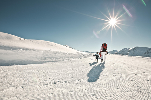 Depuis Zurich : Excursion d&#039;une journée en motoneige au Mont Titlis