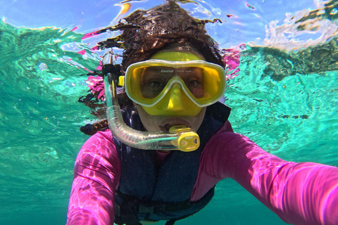 Riviera Maya: Nado con Tortugas, Cenote y Almuerzo mexicano. Riviera Maya:Nado con Tortugas, 3 Cenotes, Almuerzo Mexicano