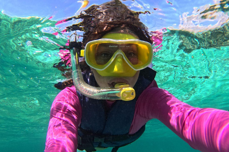 Riviera Maya: Nado con Tortugas, Cenote y Almuerzo mexicano. Riviera Maya:Nado con Tortugas, 3 Cenotes, Almuerzo Mexicano