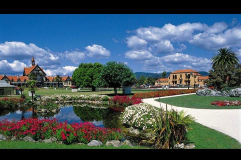 From Auckland: Rotorua Lakes, Redwood & Geothermal Day Trip