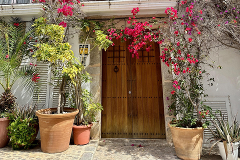 History and Relax in Ibiza: Dalt Vila, Cala Bassa and Can Soleil