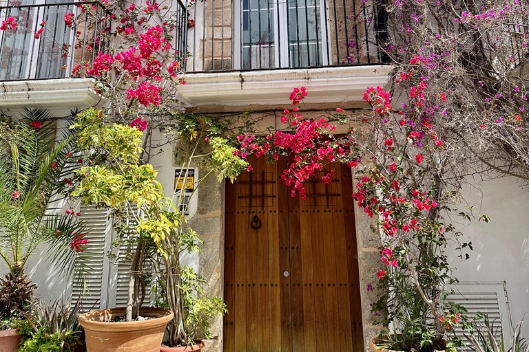 History and Relax in Ibiza: Dalt Vila, Cala Bassa and Can Soleil