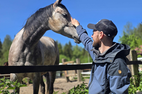 赫尔辛基：驯鹿公园与马厩私人游赫尔辛基：驯鹿公园与马厩私人导览游