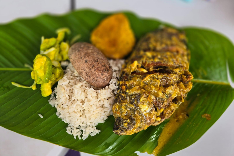 Cartagena: Viagem de 1 dia com guia a San Basilio de Palenque