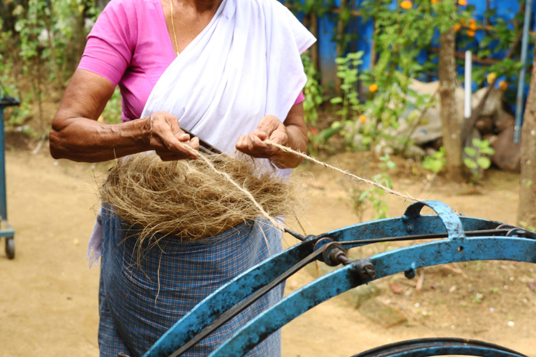 Cochin: excursión de día completo por los remansos con almuerzo y té por la tarde.Cochin: Excursión de día completo por los remansos con almuerzo y té por la tarde