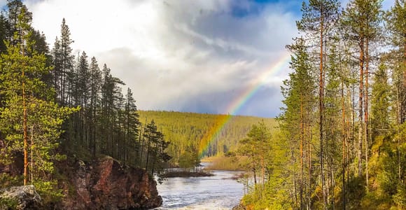 Rovaniemi: Summer Hiking Tour in Arctic Wilderness