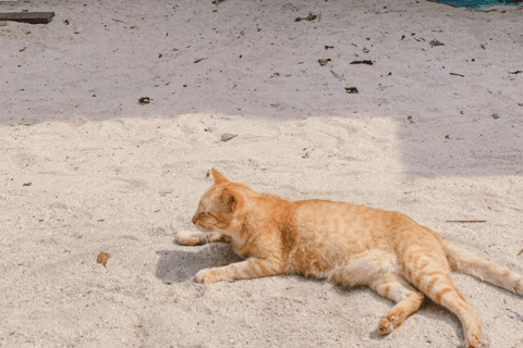 Phuket : Surin Island by Speedboat Khao Lak: Surin Island by Speedboat