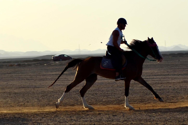 Marsa Alam: Tramonto a cavallo con cena, spettacolo e osservazione delle stelle