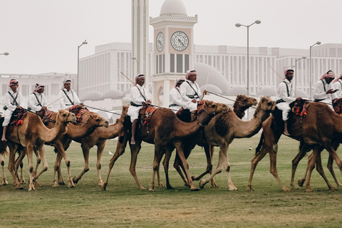 Doha : visite guidée privée d'une demi-journée de la ville