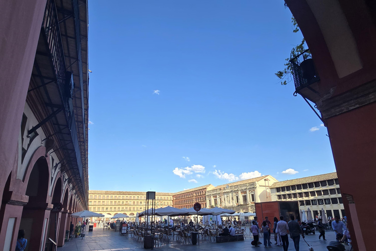 Córdoba: Ticket de entrada para la Ruta de las Iglesias Fernandinas.