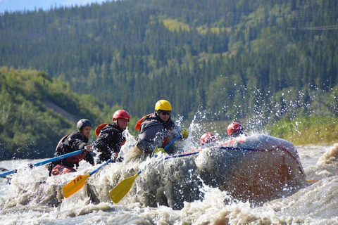 From Fairbanks: Denali Rafting & Zipline Adventure Day Trip
