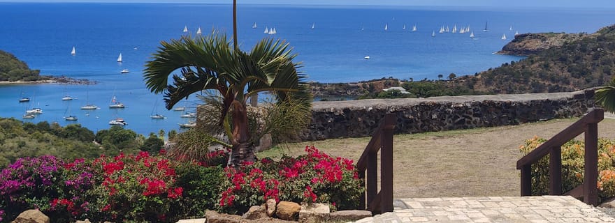 Au départ de St John's : Visite d'une demi-journée historique + Escapade à la plage