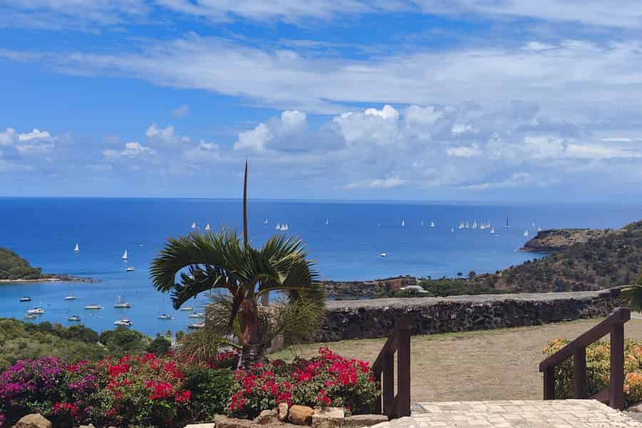 Von St. John's aus: Halbtagestour Historische Tour + Strandflucht. Foto: GetYourGuide