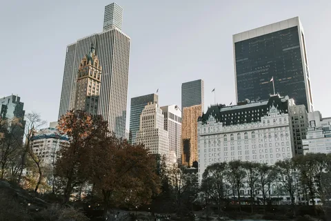 NYC:Central Park Guided Tour& Natural History Museum Ticket