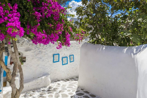 Aventure familiale en jeep à Mykonos : Ferme, vignoble et plage