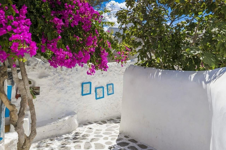 Aventure familiale en jeep à Mykonos : Ferme, vignoble et plage