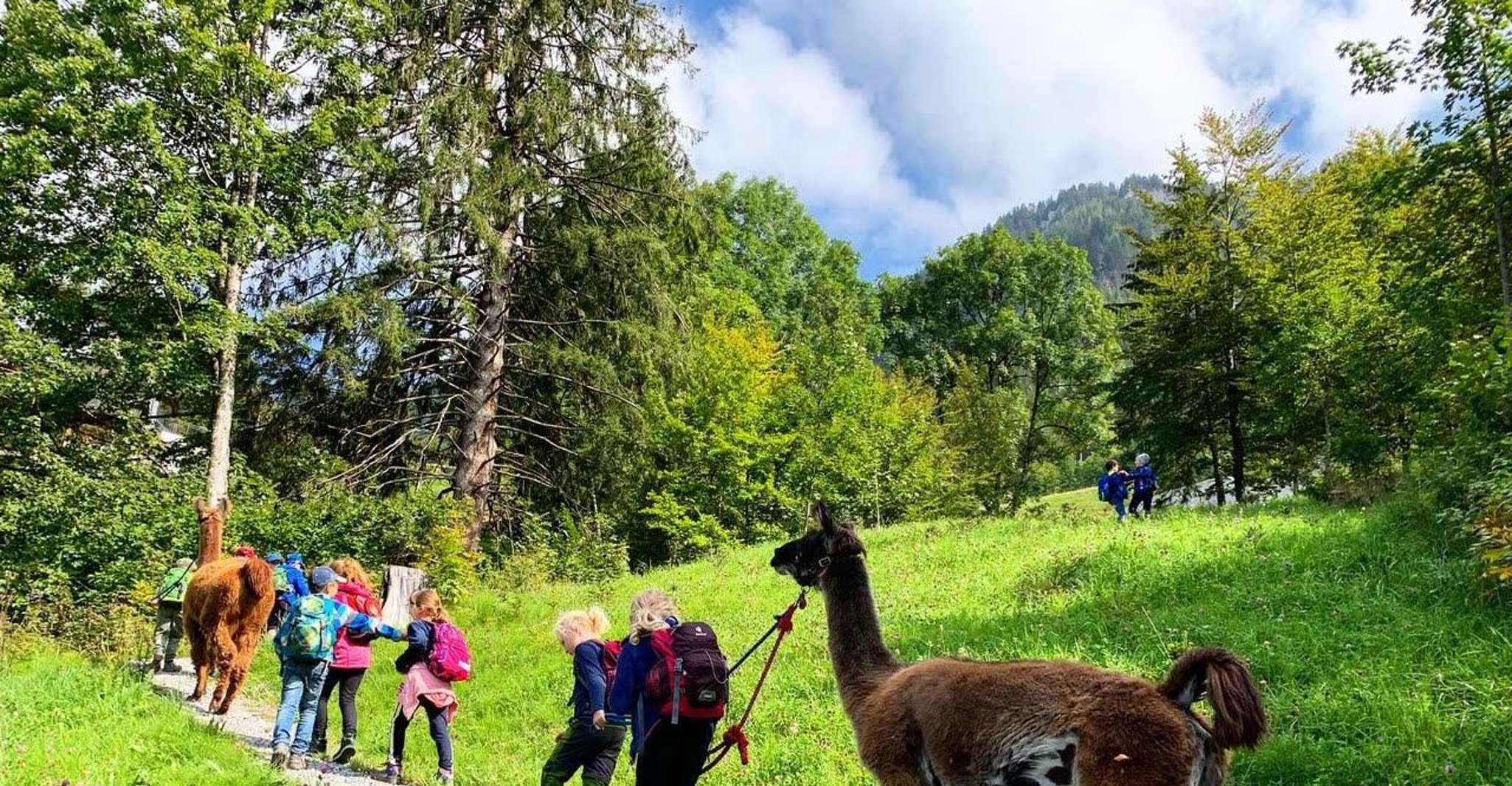 Triesenberg, Walk with a llama in the beautiful mountains - Housity