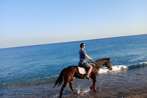 Faliraki/Afadou: Horse Ride to the Beach
