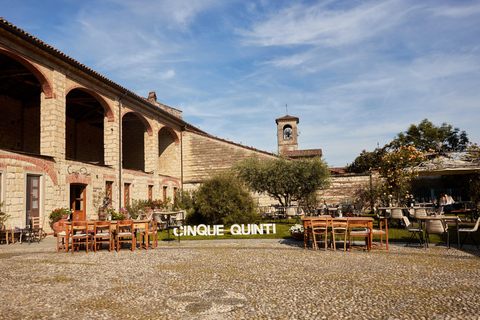 Monferrato: Wine Tasting and Guided Infernot Tour Monferrato: Wine Tasting and Guided Infernot Tour