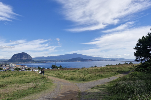 Tour guidato sulla storia e la cultura dell&#039;incidente del 4.3 di Jeju (SW)Tour guidato sulla storia e la cultura dell&#039;incidente del 4 marzo a Jeju (SW)