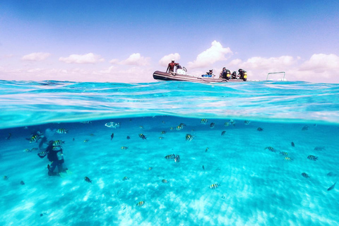 Zanzíbar: Excursión a Mnemba para hacer snorkel y nadar con tortugas