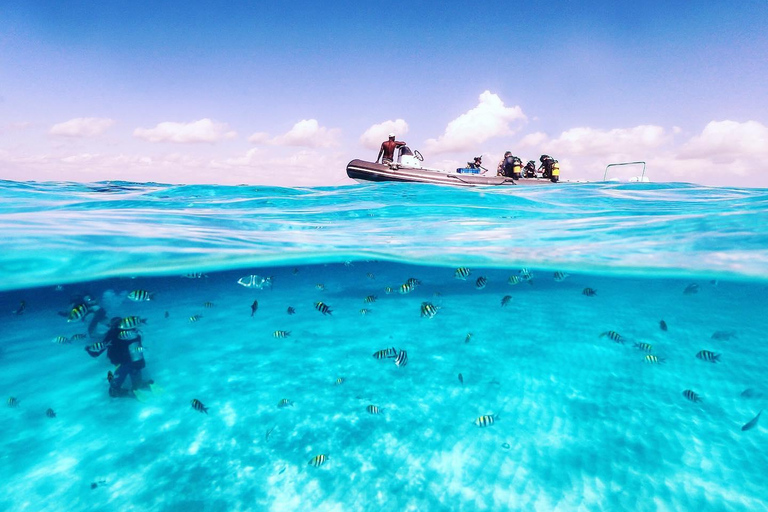 Zanzíbar: Excursión a Mnemba para hacer snorkel y nadar con tortugas