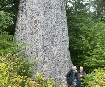 Cape Scott: Caminhada de um dia na Baía de San Josef com passeio panorâmico