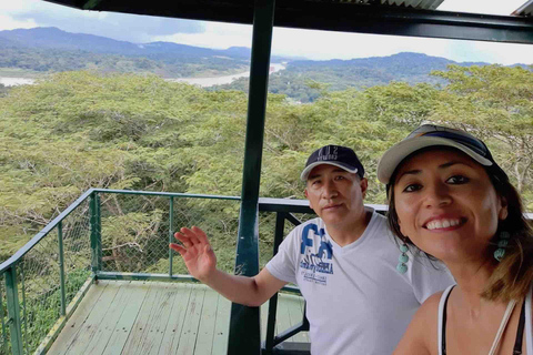 Panama : Buffet, tramway aérien, excursion en bateau à Gatun, sanctuaire des paresseuxPanama : Tram aérien, tour en bateau à Gatun et sanctuaire des paresseux