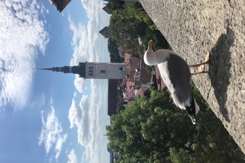 Vieille ville emblématique de Tallinn