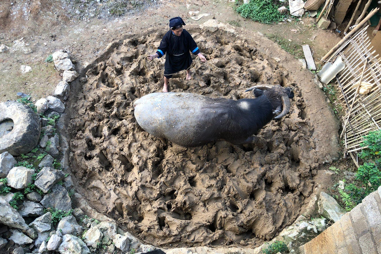 Cao Bang: 2-Day Family Experience With Local Guide 2-Day Family Experience By Car