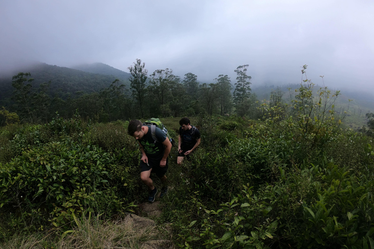 Kandy: Excursión de un Día a las Cascadas y la Aldea Local con Almuerzo