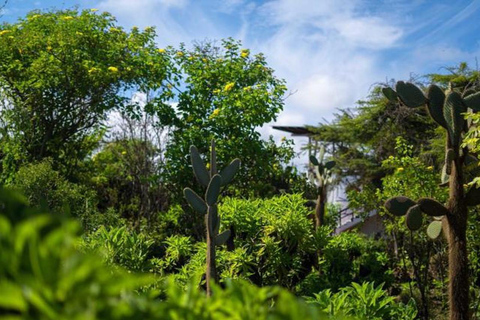 Galapagos: Santa Cruz Charles Darwin Research Station Visit