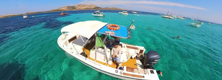 Depuis Stintino : excursion en bateau vers Asinara avec apéritif